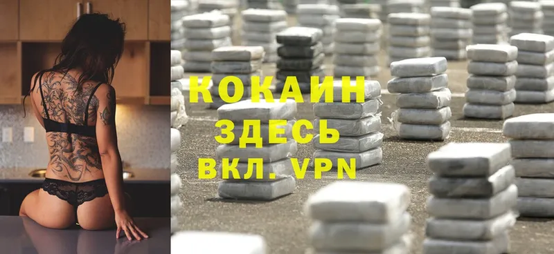 omg tor  shop состав  Бородино  Cocaine Columbia  купить наркотики цена 